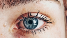 Eyes