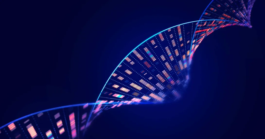 Human genome analysis DNA molecular structure