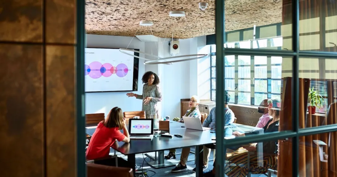 
  A person presenting to a group of investors.
